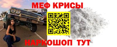 молекула духа Кингисепп