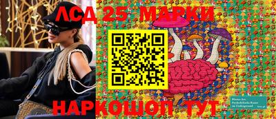 молекула духа Кингисепп