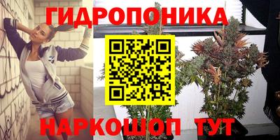 мет Кинель