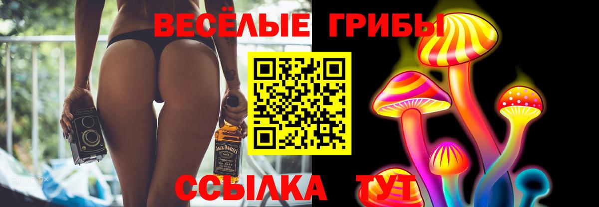 Псилоцибиновые грибы прущие грибы  Вход с VPN  Чебаркуль 